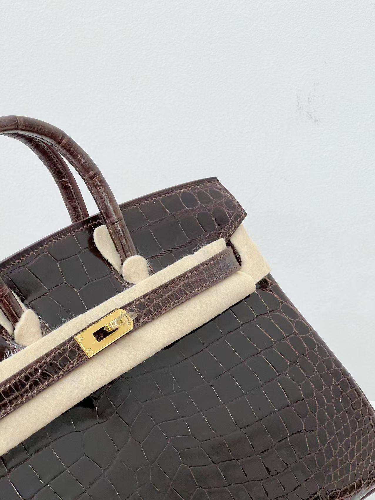Advanced customization Birkin 25 crocodile skin