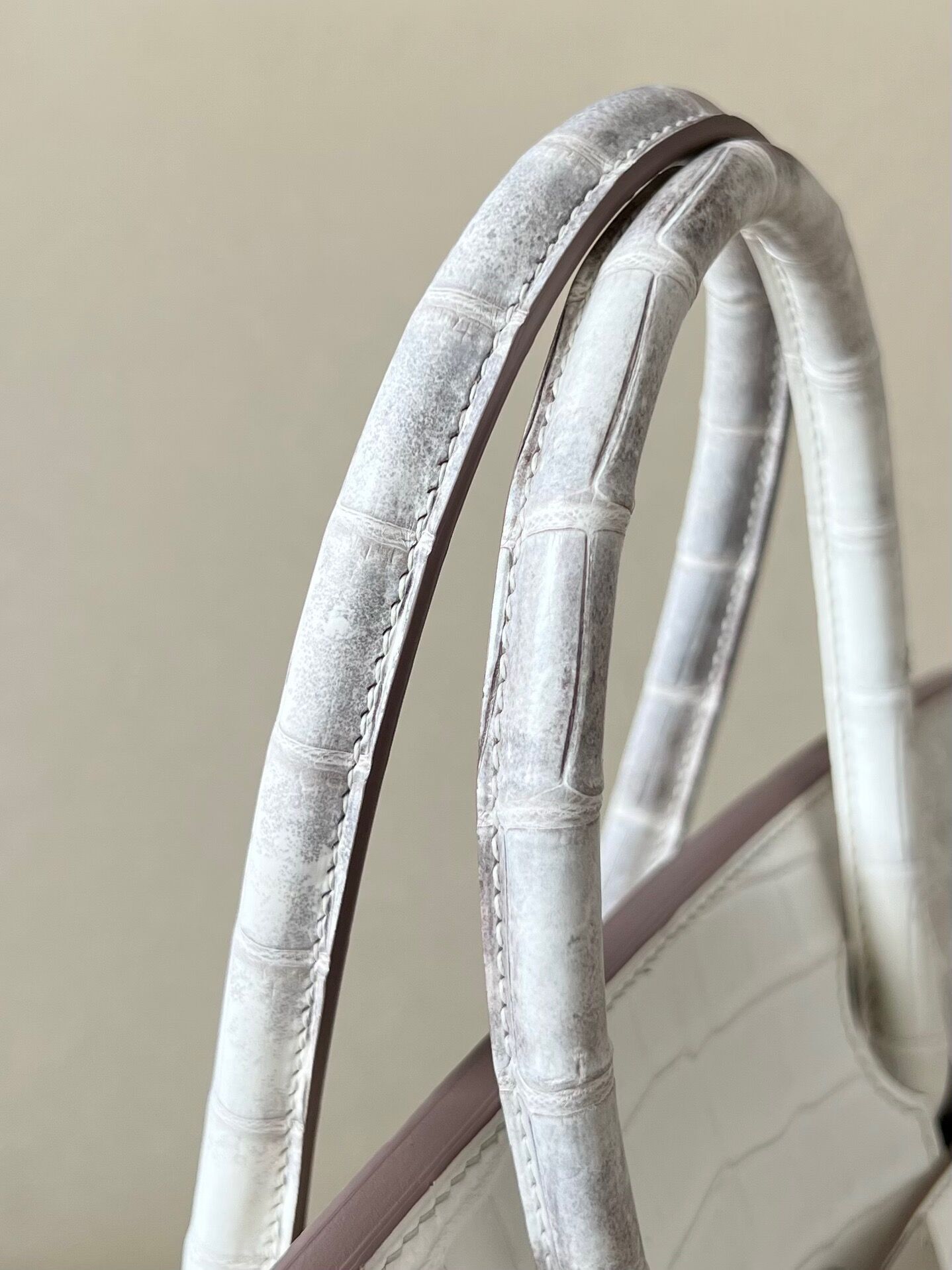 Birkin 30 TOGO crocodile skin