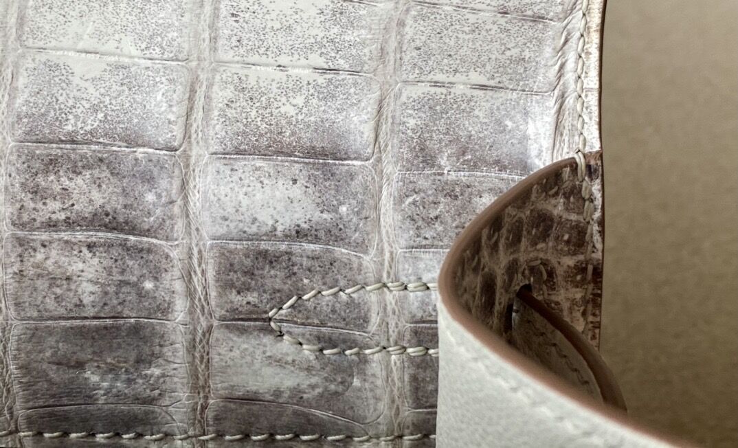 Himalayan Kelly1 Mini 22 crocodile skin