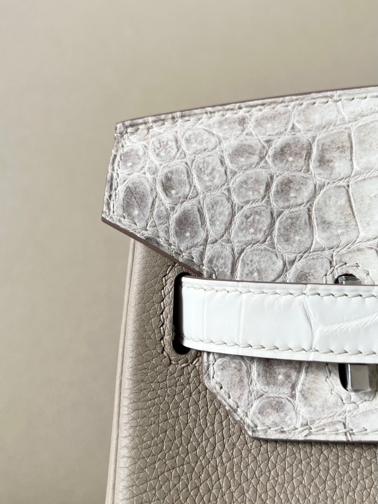 Birkin 30 TOGO crocodile skin