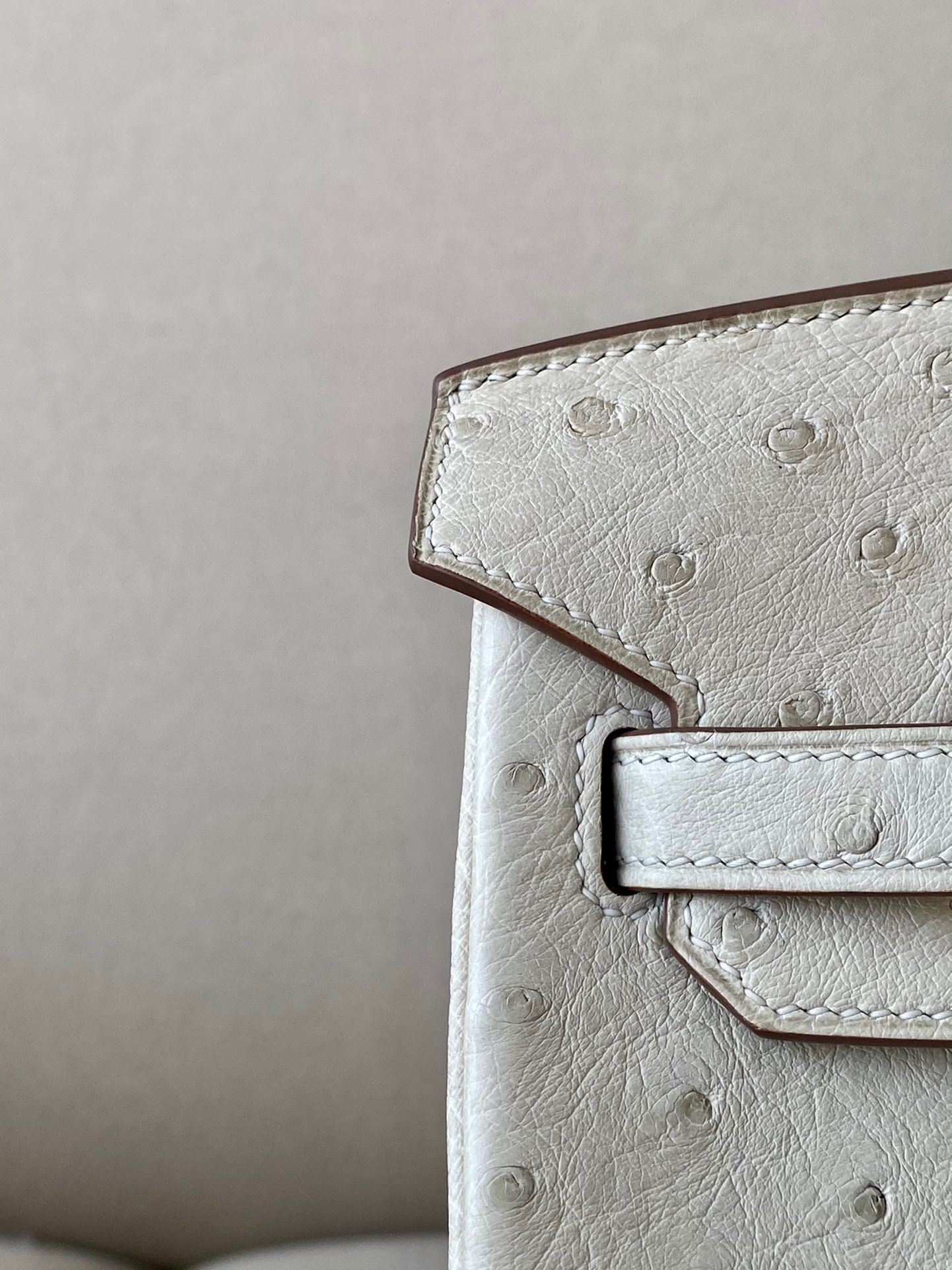 Advanced customization Birkin 25-30