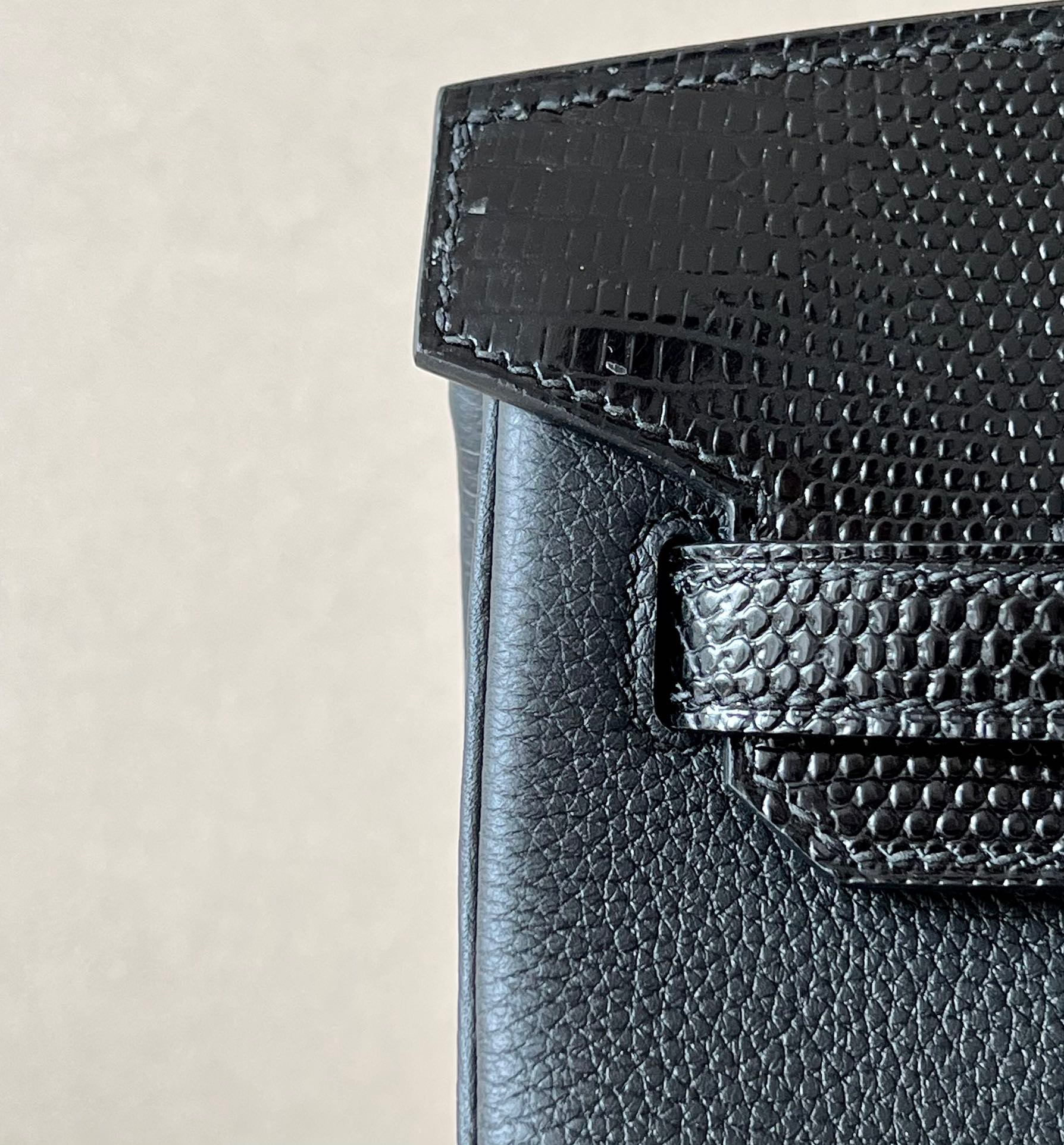 Advanced customization Birkin 25 Lizard