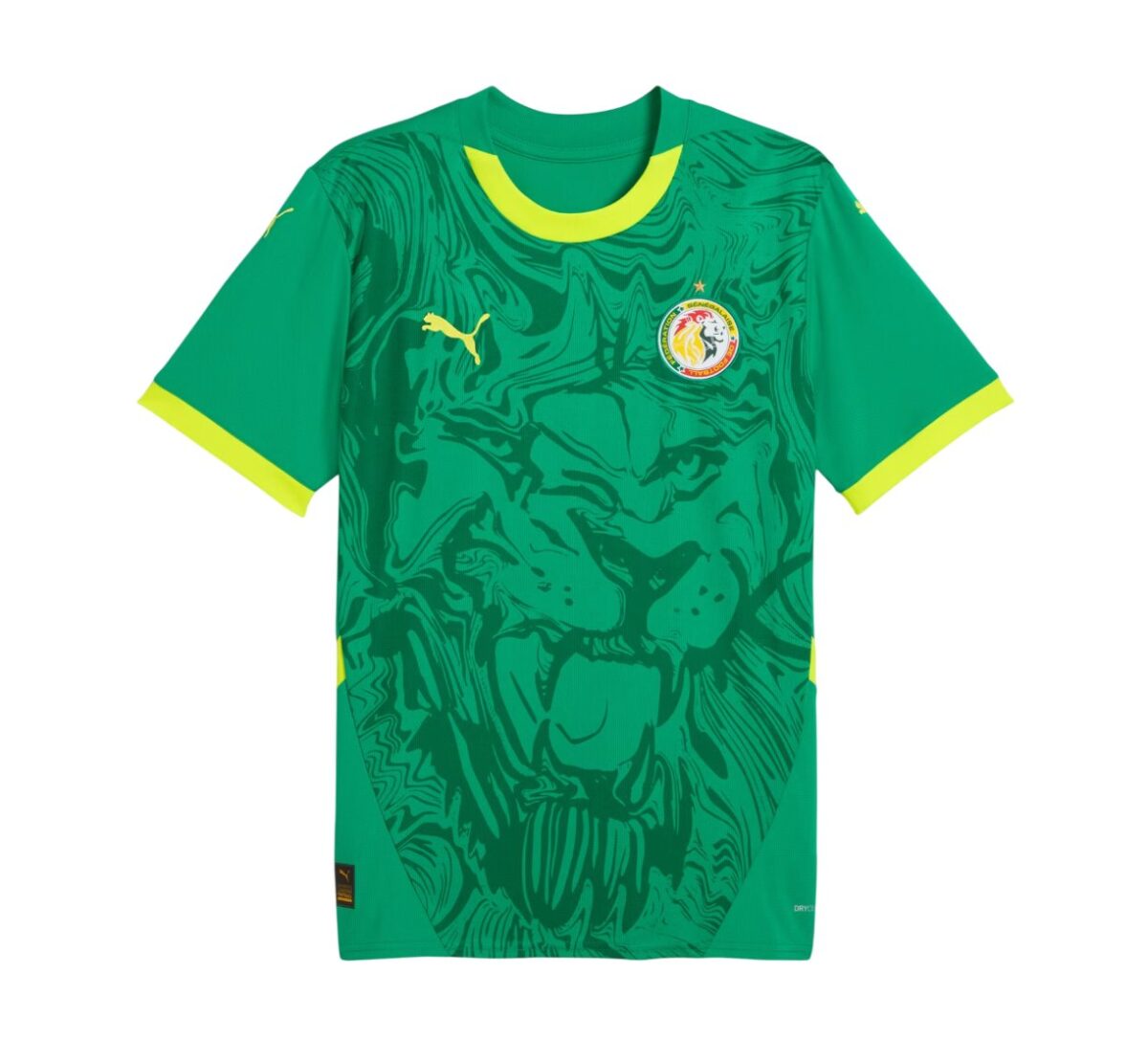 Camiseta Senegal 24/25 2ª equipación - NewNow