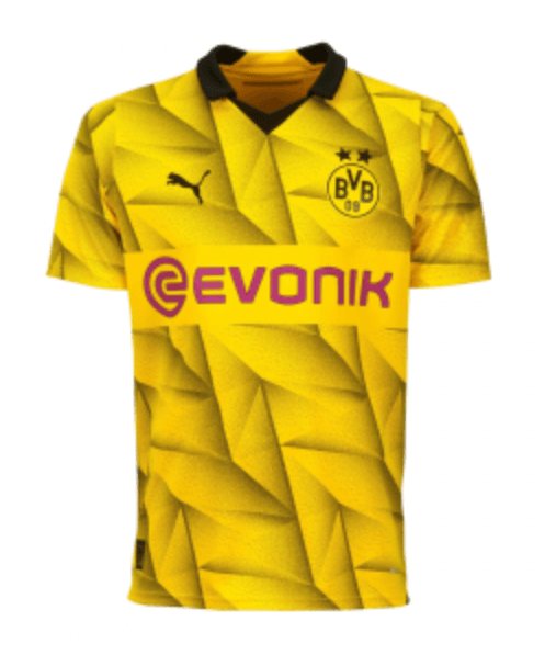 Camiseta Borussia Dortmund 23/24 1ª equipación edición Champions League - NewNow