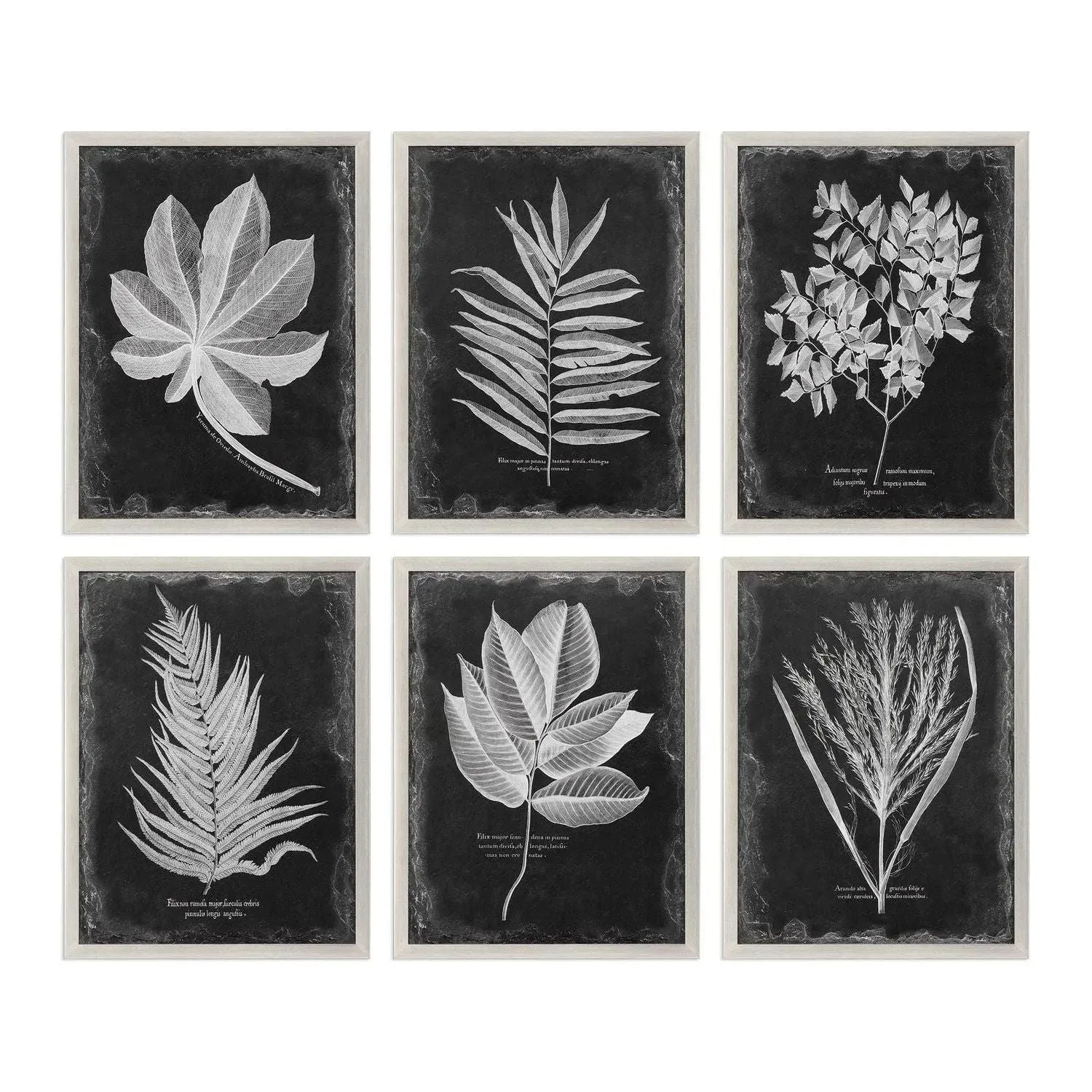 Foliage Wall Art