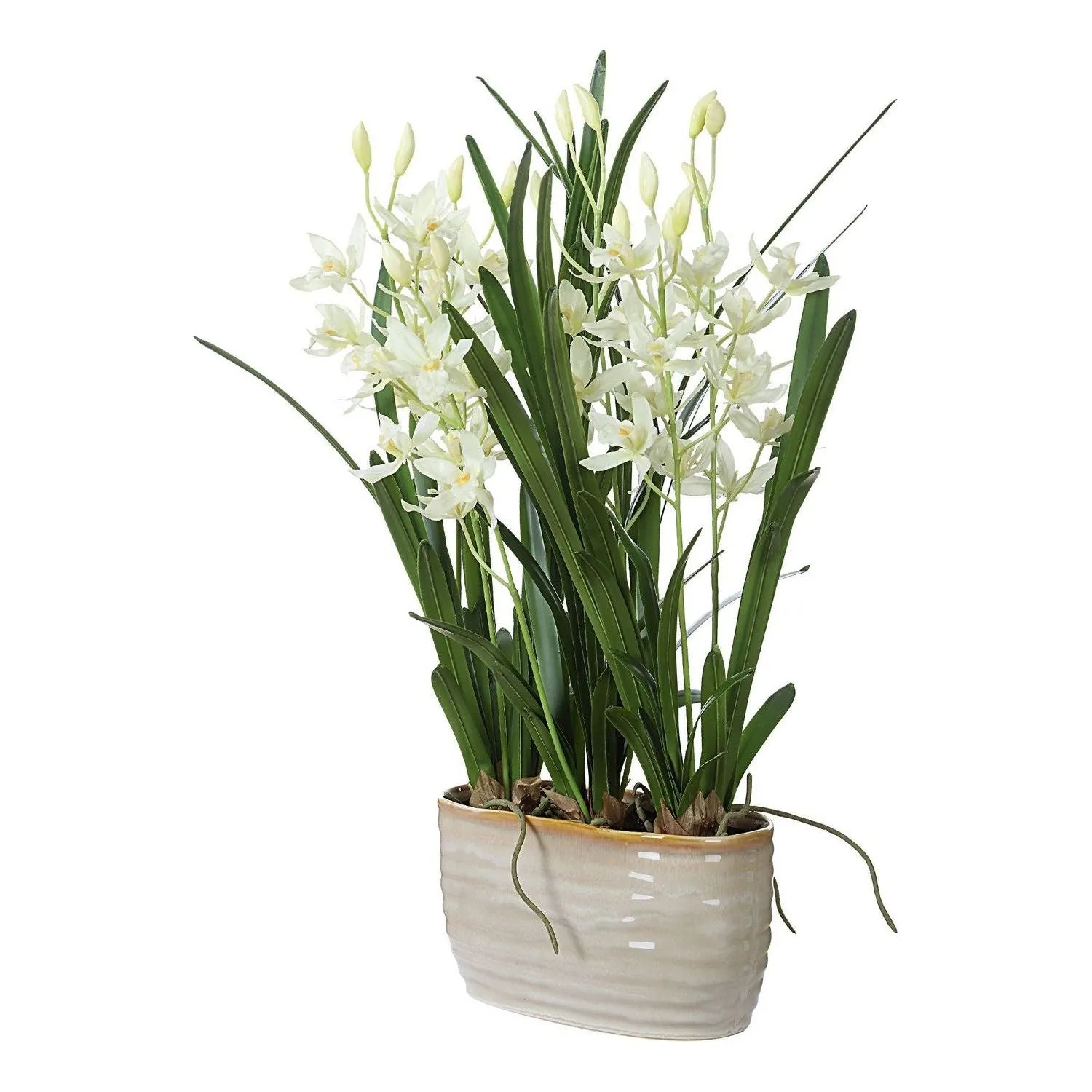 Ariana Orchid Planter